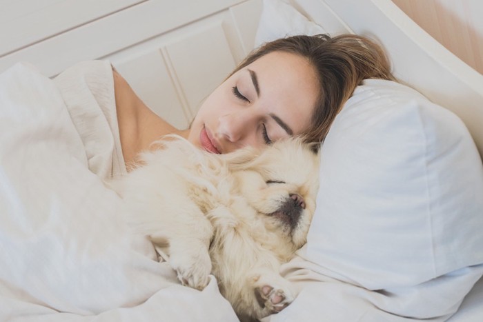 女性と一緒に寝ている犬