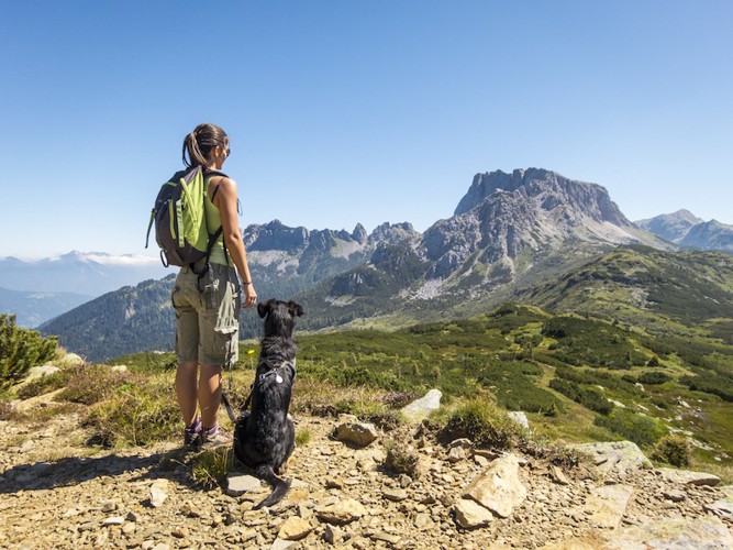 山を眺める犬と女性