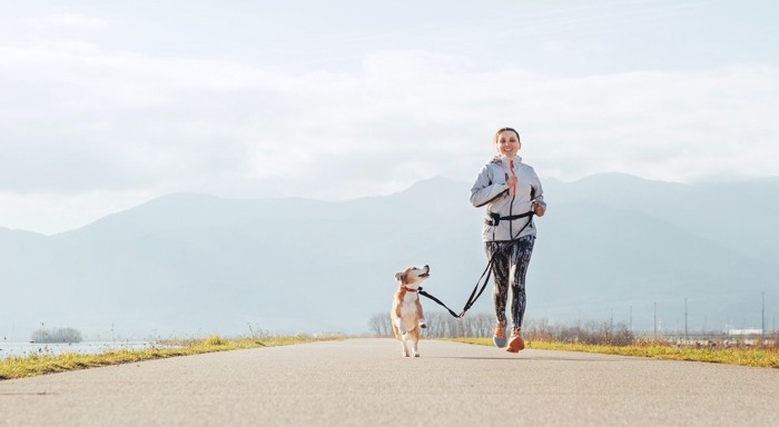 ジョギングしている女性と犬