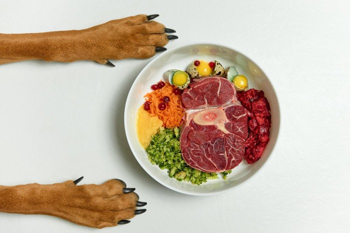 生肉と野菜の食事と犬の前足