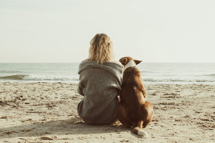海で女性に寄り添う犬の後ろ姿