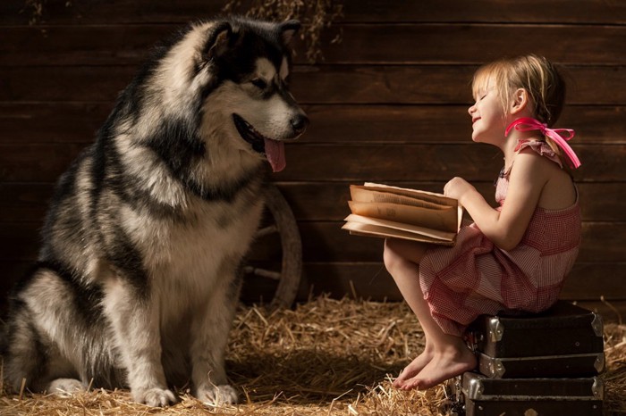 本を読む少女と犬