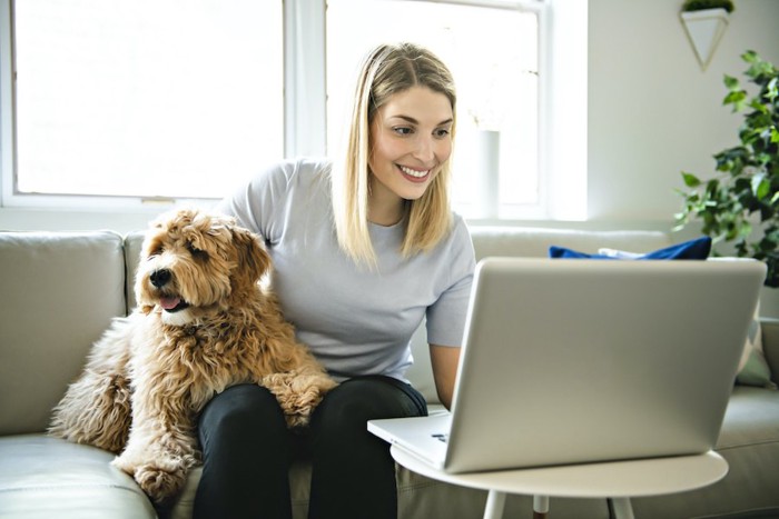 パソコンを使う女性と寄り添う犬