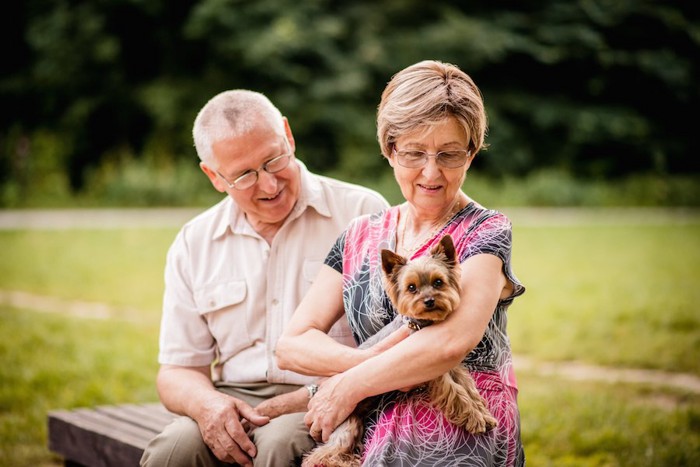 小型犬を抱いてベンチに座る年配のカップル