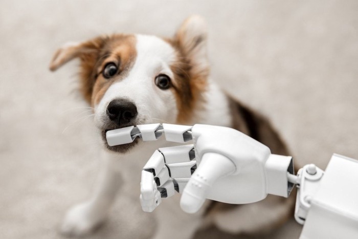 子犬とロボットの手