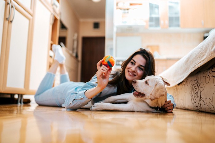 犬におもちゃを見せる女性と一緒に横たわっているレトリバー