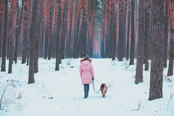 雪の中を歩く女性と犬の後ろ姿