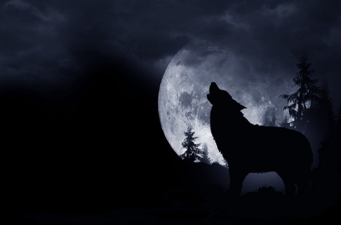 月に吠える狼