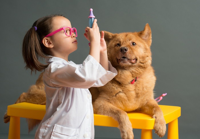 おもちゃの注射器を持つ女の子と犬