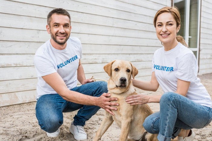ボランティアのTシャツを着た男女と犬