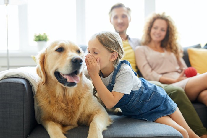 ソファーで家族と一緒にくつろぐ犬
