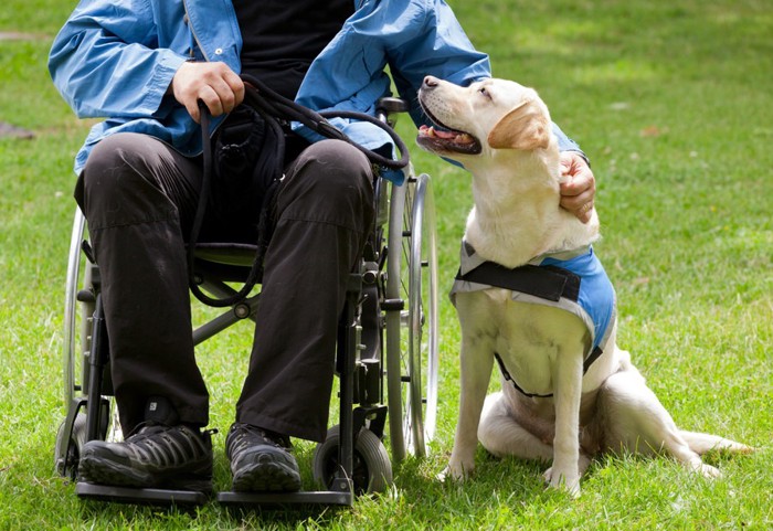 車椅子の男性の横に座る犬