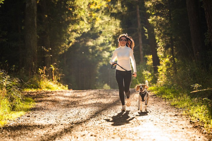 リードをつけたビーグル犬と自然の中をジョギングする女性