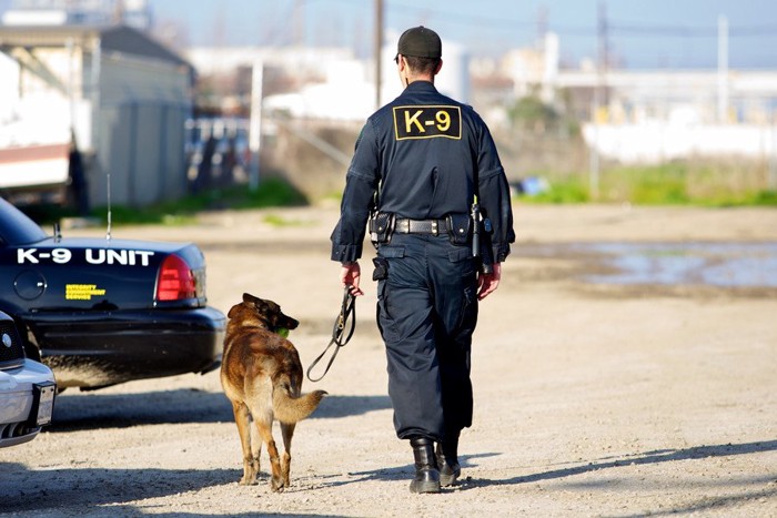 警察犬とハンドラー