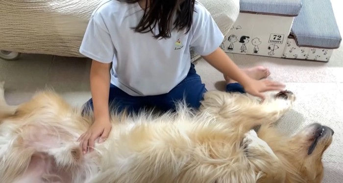 犬の手を触る少女