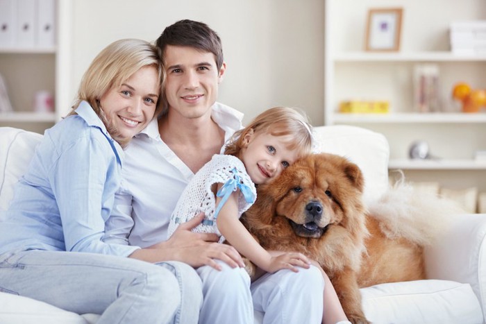 ソファーで犬に寄り添う女の子と家族