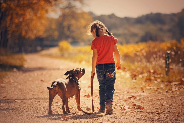 小さな女の子と犬の後ろ姿