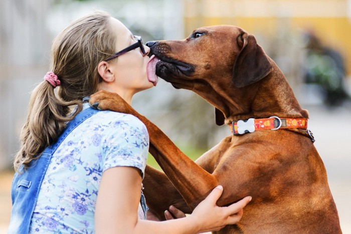 眼鏡の女性にキスをする犬