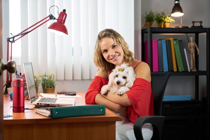 オフィスに居る女性と犬
