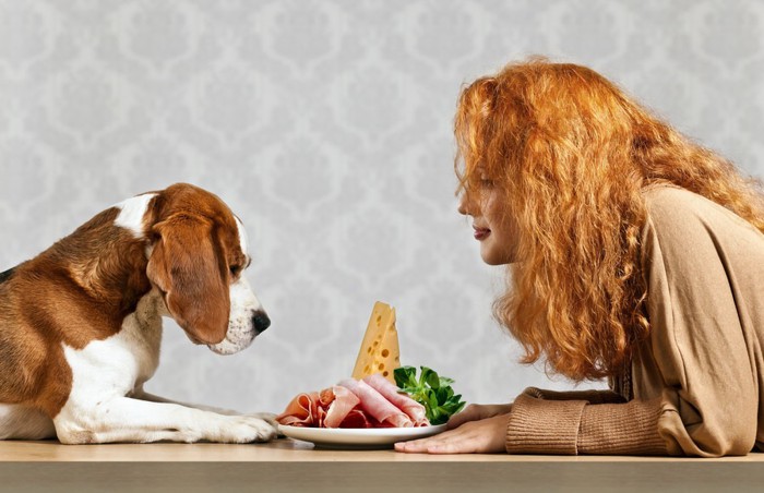 食べ物を見つめる犬と女性