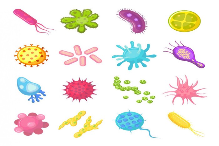 様々な細菌のイラスト
