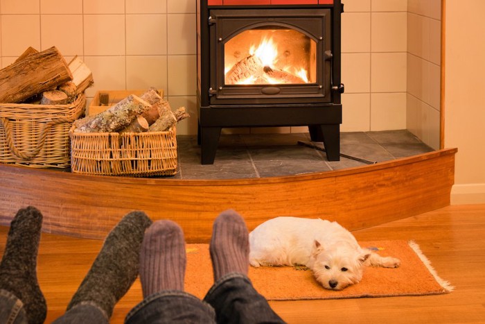 横になる人の足と暖炉の前で眠る犬