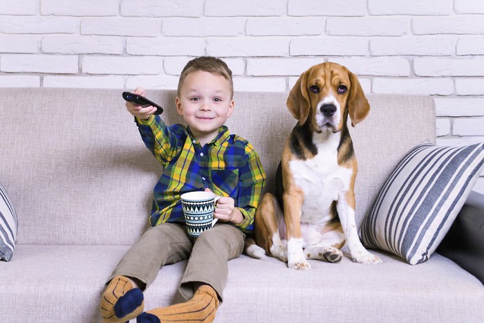 ソファーに座ってテレビを見る犬と男の子