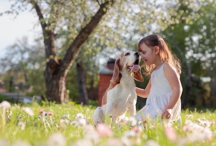 庭で一緒に遊ぶ女の子と犬