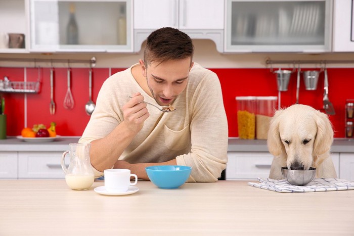 ご飯を食べる男性と犬