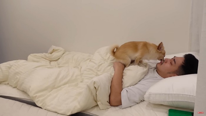 寝ている男性の顔を舐める犬