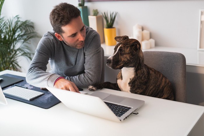 ホームオフィスに座る犬と男性