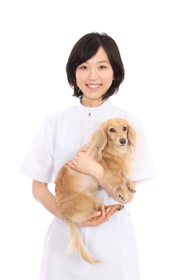 動物看護師と犬