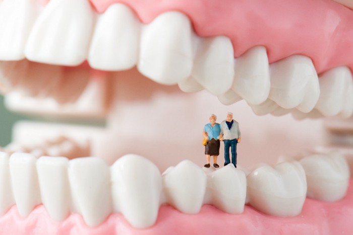 高齢者と歯の模型