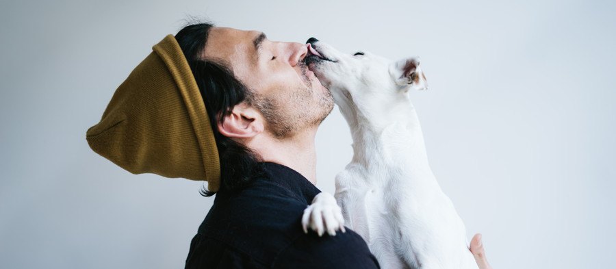 男性にキスする犬