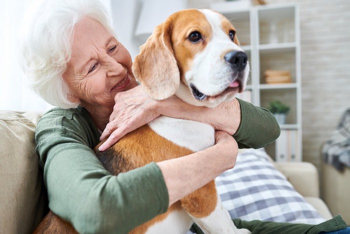 ソファーで犬を抱きしめるおばあさん