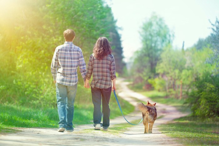 散歩をするカップルと犬の後ろ姿