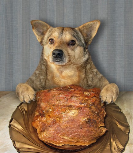 大きなお肉と食卓に座る犬