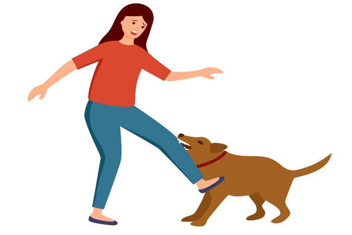 女性を咬んでいる犬のイラスト
