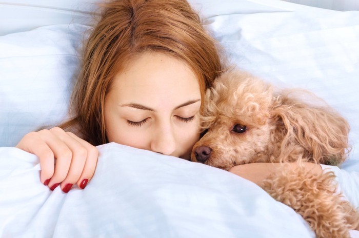 犬と女性とベッド
