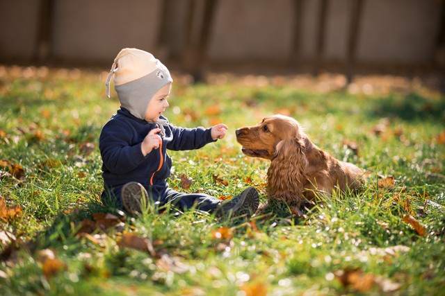 草むらにいる犬と赤ちゃん