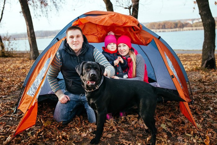犬とキャンプをする家族