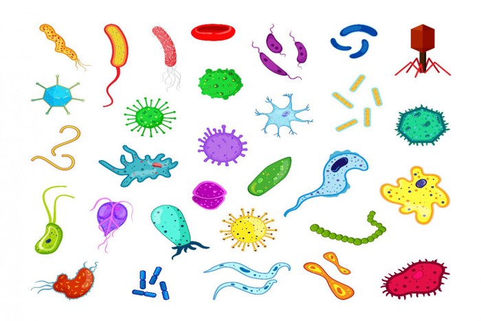 さまざまな細菌のイラスト