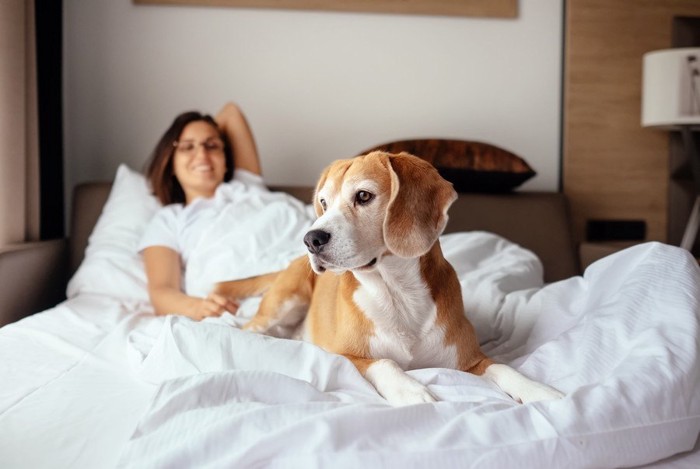 ベッドに横になる女性と犬