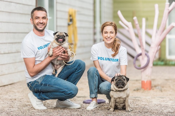 ボランティアの男女と犬
