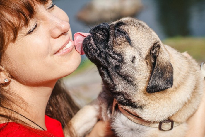 女性の口元を舐める犬