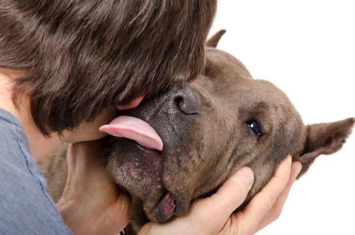 飼い主さんの顔を舐める犬