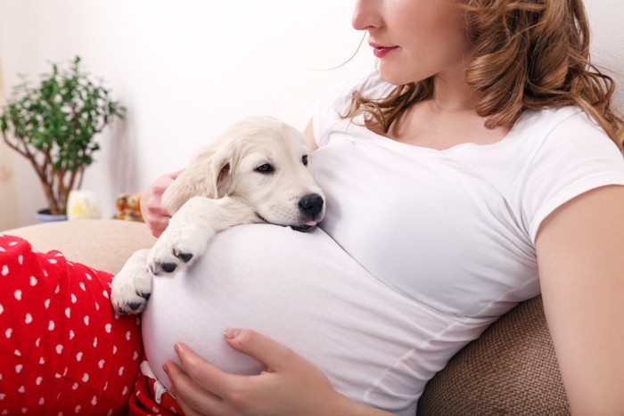 ソファーに座る犬と妊婦