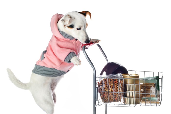 買い物をする犬