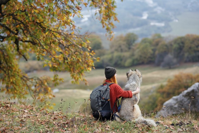 犬と一緒に山の景色を楽しむ女性
