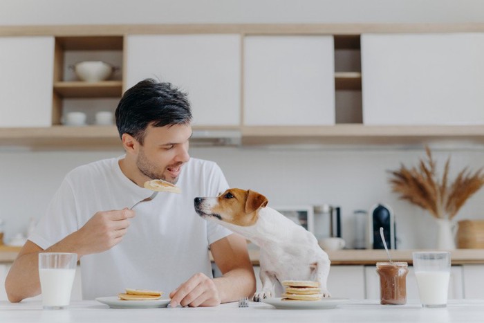 食事をする男性と犬